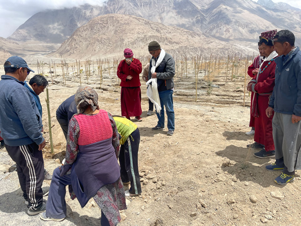 Tree Planting Project in Chilam, Changthang, Ladakh, India